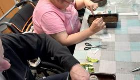 Практика гарденотерапия для инвалидов - это метод реабилитации через работу с растениями