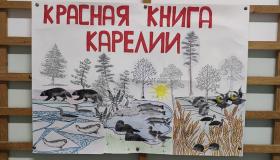 «Красная книга Карелии» — бережём то, что дорого